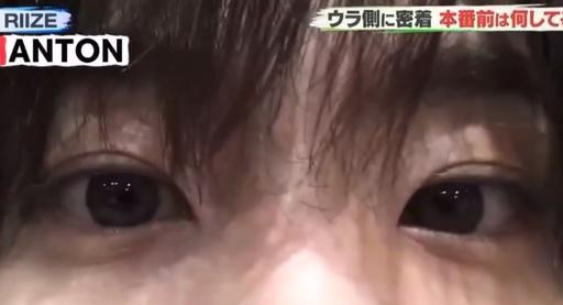[잡담] 앤톤 새벽 이후로 탐라에 강아지 털 날림ㅋㅋㅋ | 인스티즈