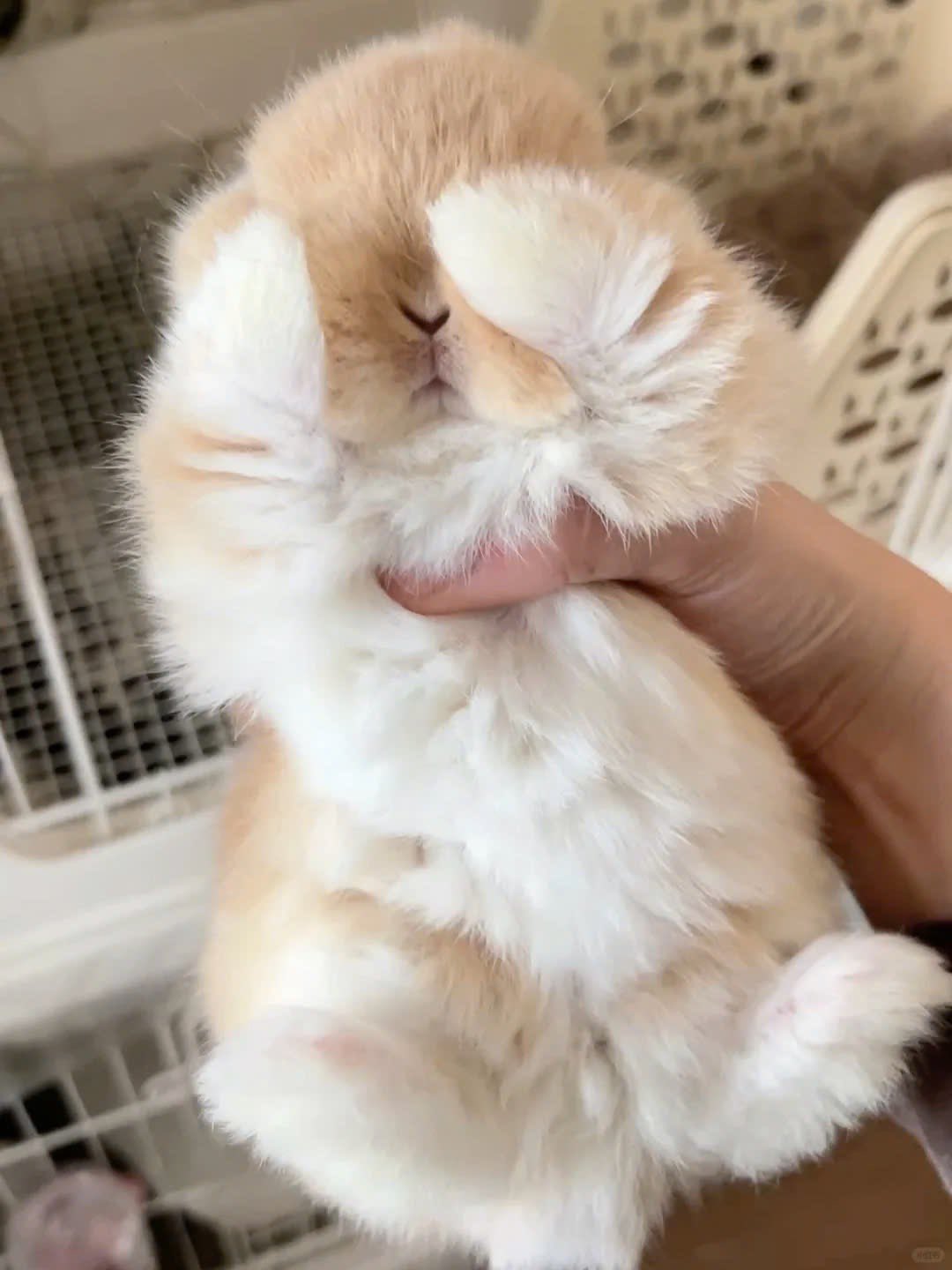 [잡담] 아 도영이 귀여워 | 인스티즈