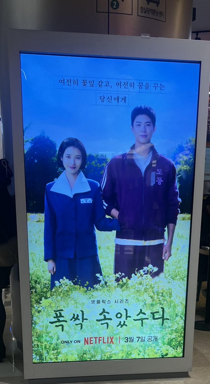 [잡담] 폭싹 벌써부터 홍보 스케일 대박이네 | 인스티즈