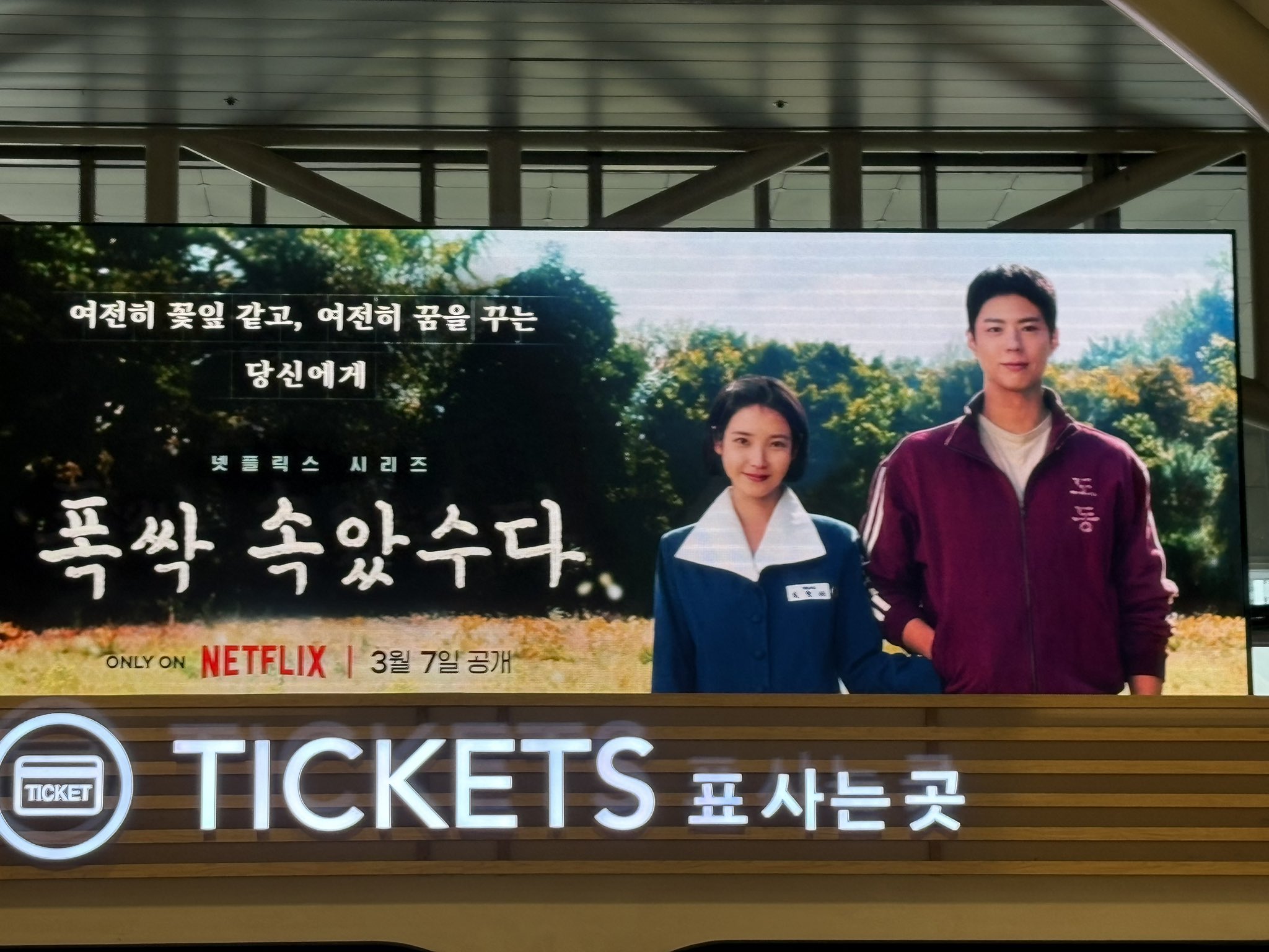 [잡담] 폭싹 벌써부터 홍보 스케일 대박이네 | 인스티즈