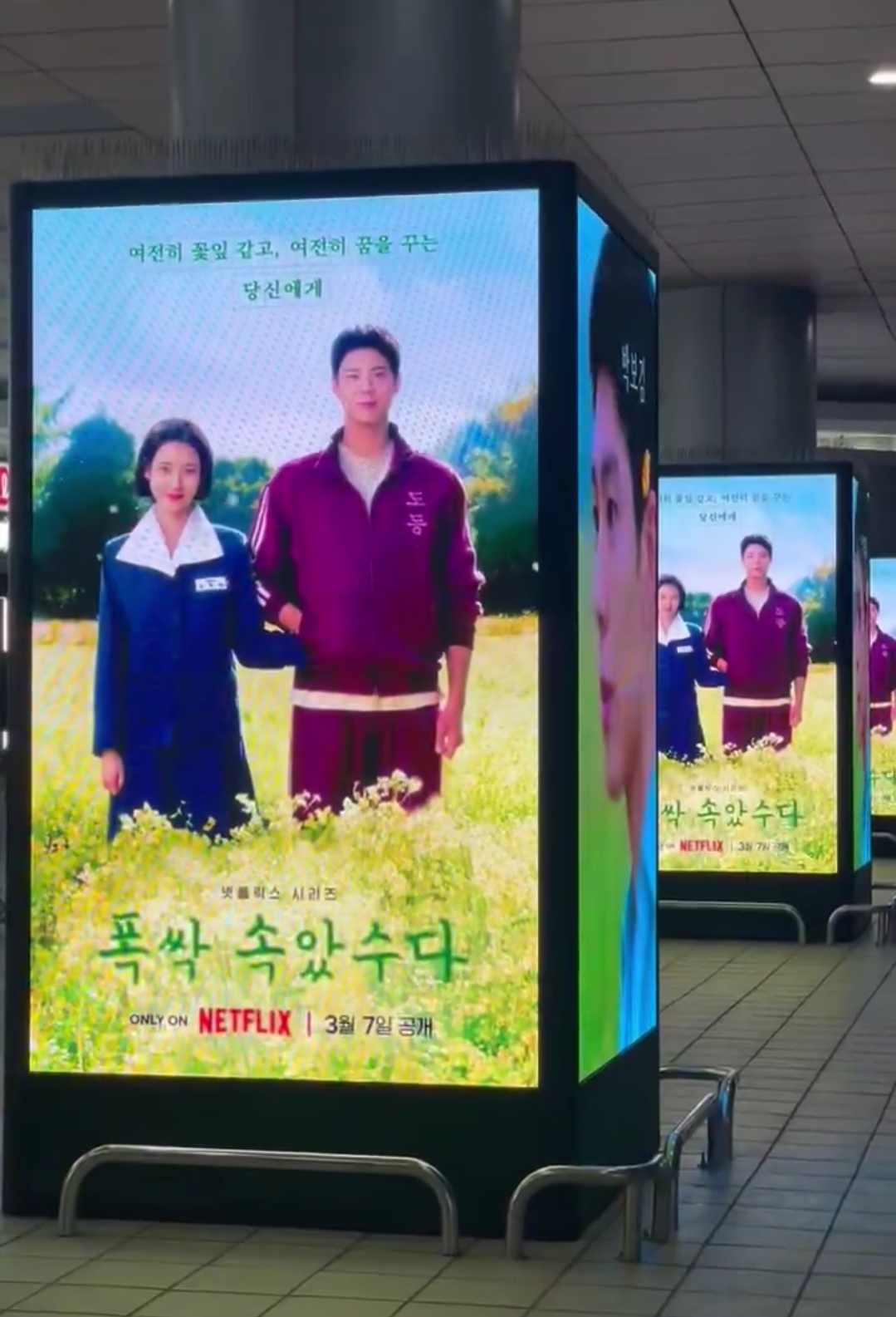 [잡담] 폭싹 벌써부터 홍보 스케일 대박이네 | 인스티즈