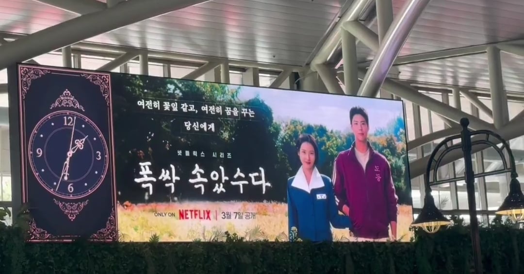 [잡담] 폭싹 벌써부터 홍보 스케일 대박이네 | 인스티즈