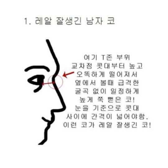 [잡담] ㄹㅇ 잘생긴 남자의 코 어쩌구(ㅈㅇ 은석) | 인스티즈