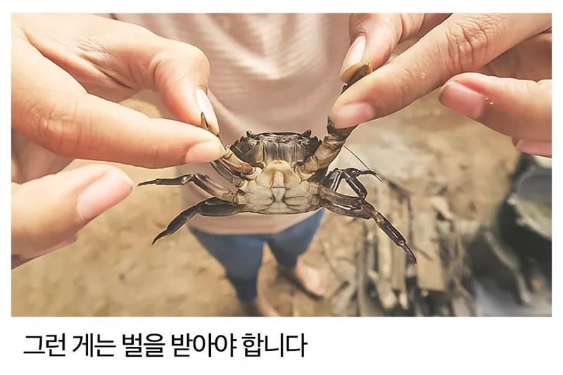 [잡담] 난 이재명이 맘에 안 드는게 | 인스티즈