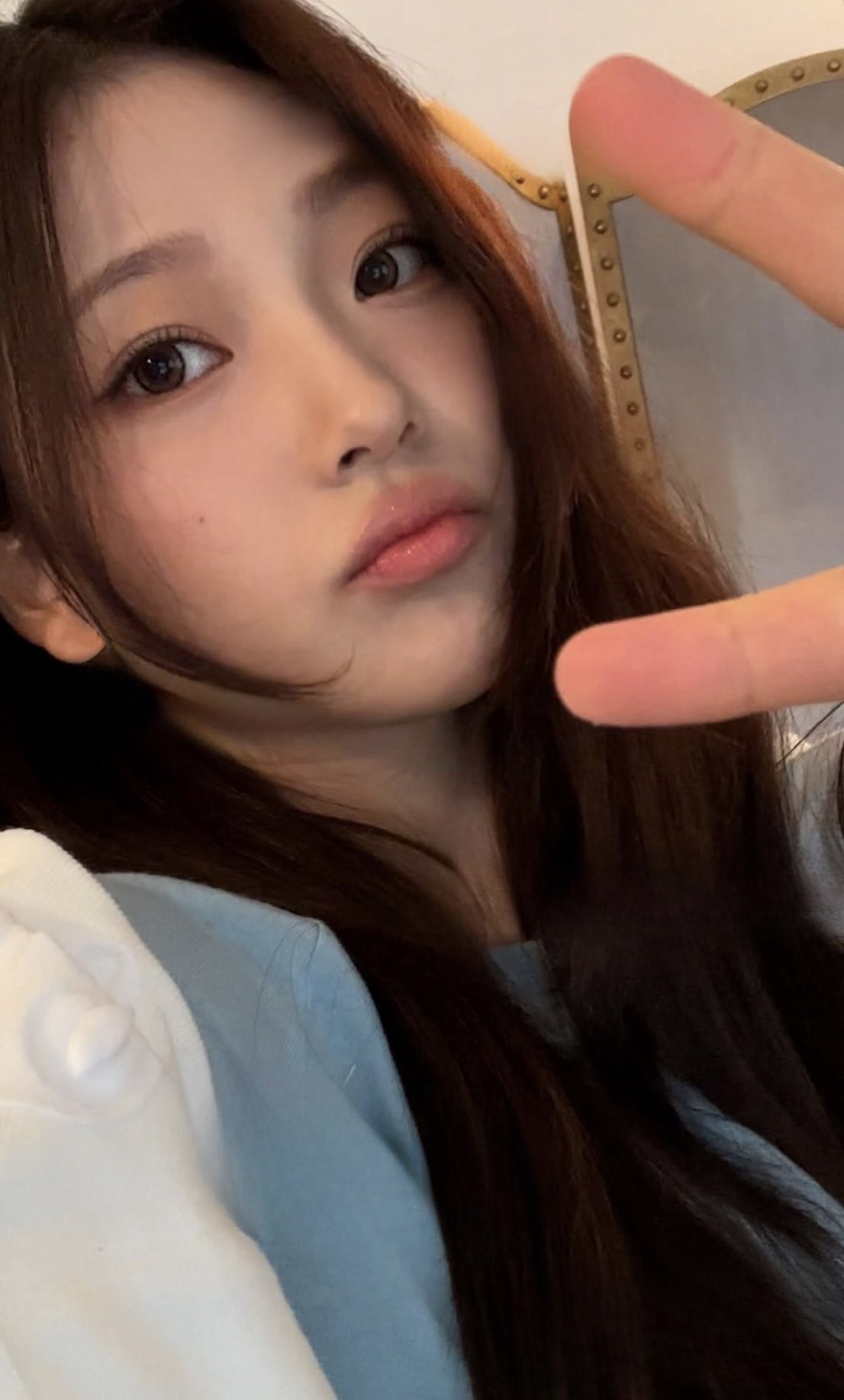 [잡담] 하투하 스텔라 진심 | 인스티즈