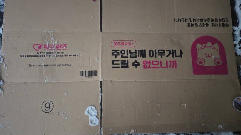 [잡담] 아귀여운거봄 ㅠㅠ | 인스티즈
