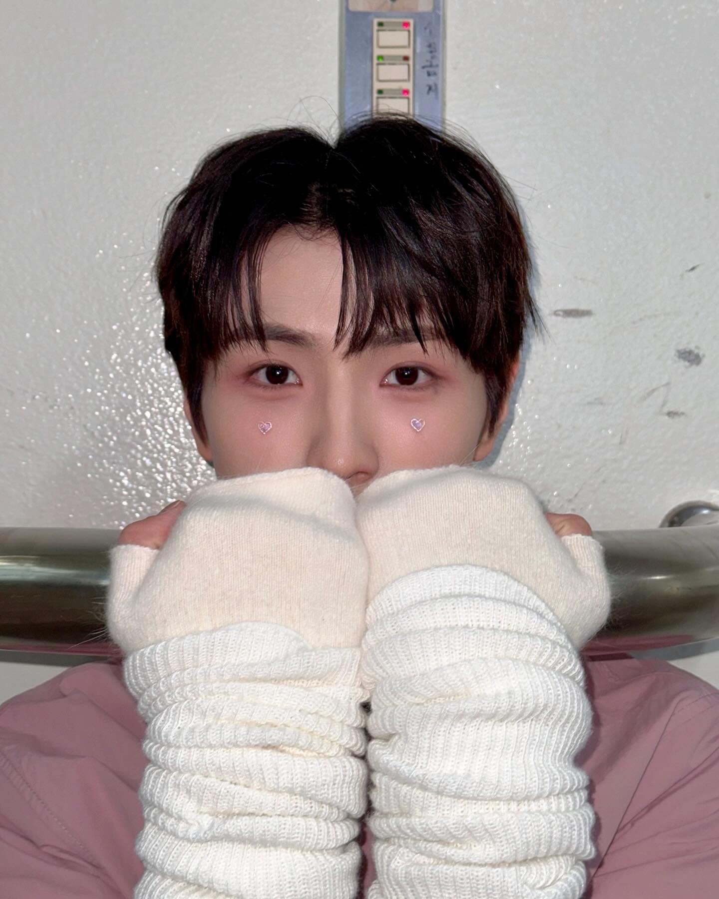 [잡담] 진짜 핑크 코기뮹 실존 | 인스티즈