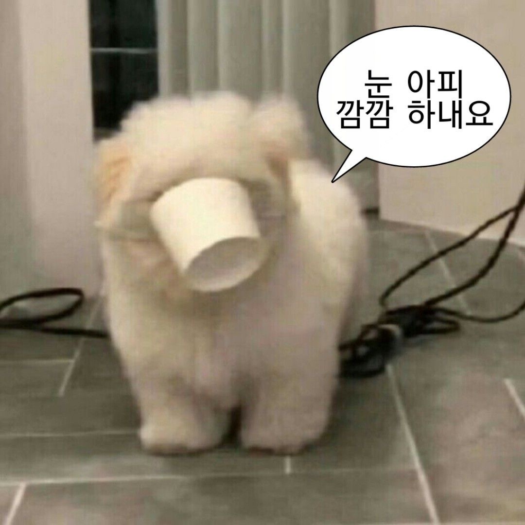 [잡담] 정우 생파 내가 못 간다니 아직도 구라같다 | 인스티즈
