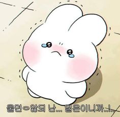 [잡담] 원빈 사랑 치사치다… | 인스티즈
