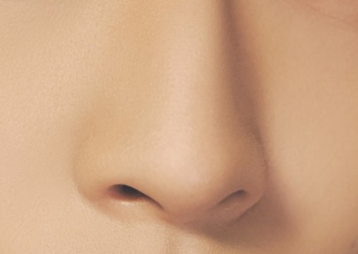 [잡담] 코 사진만 보고 내 최애 맞혀봐 | 인스티즈