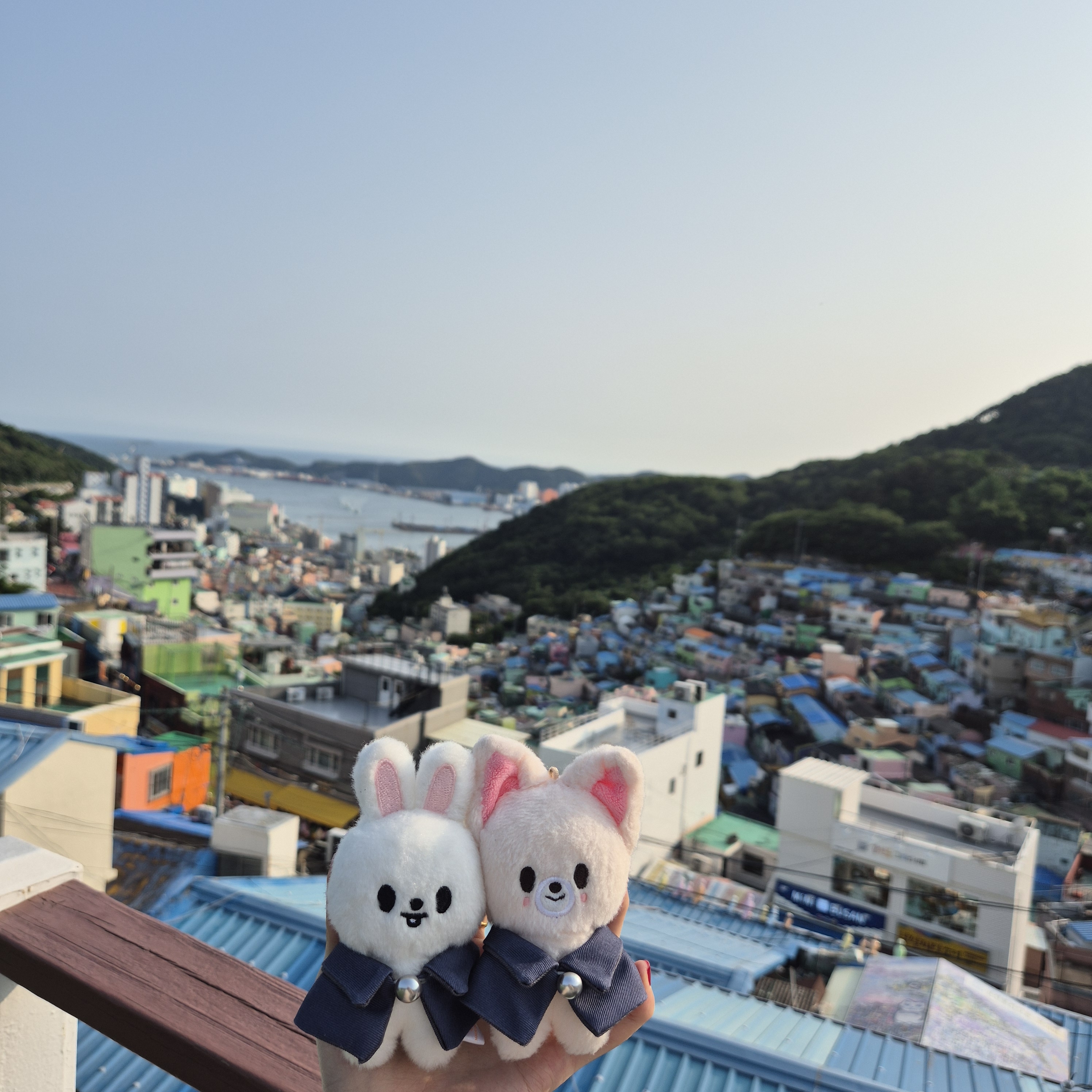[잡담] 내 최애들 인형 | 인스티즈