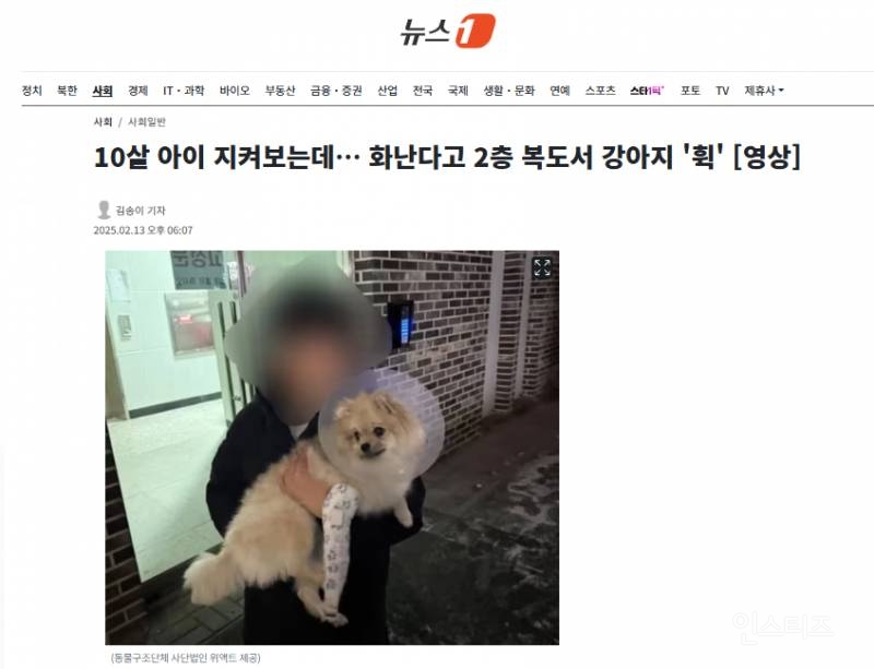 (혐) 부부싸움 하다 키우는 강아지 던진 男 | 인스티즈