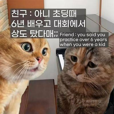 어렸을 때 피아노 배운 사람들 특징 | 인스티즈