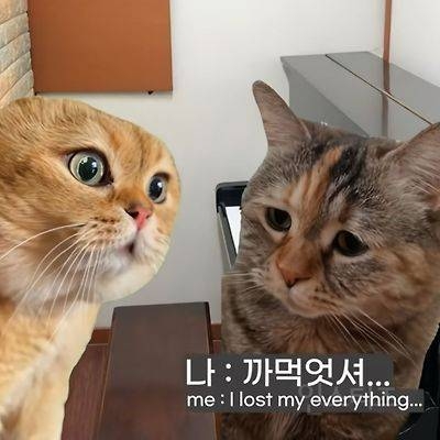 어렸을 때 피아노 배운 사람들 특징 | 인스티즈