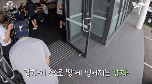 [잡담] 도리드라 해피발렌타인 ʕ⑉ˊ ө ˋ⑉ʔ | 인스티즈