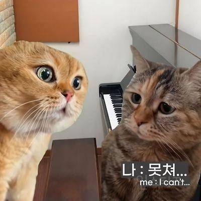 어렸을 때 피아노 배운 사람들 특징 | 인스티즈