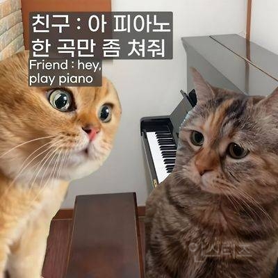 어렸을 때 피아노 배운 사람들 특징 | 인스티즈