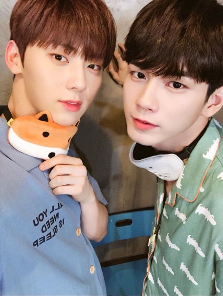 [잡담] 워너원 개안즈는 진짜 보면 개안되는게 느껴짐 | 인스티즈