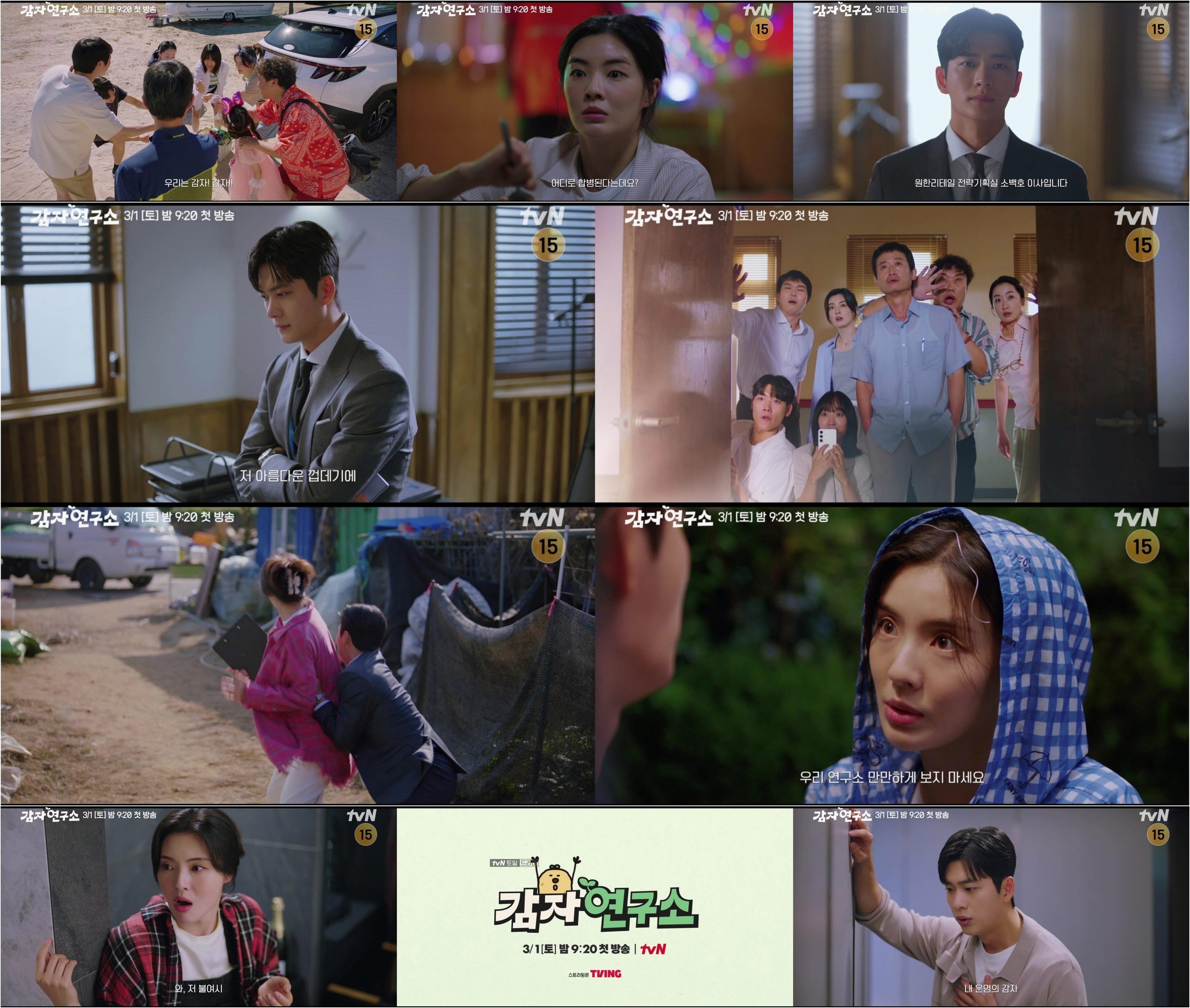 [정보/소식] 강태오, 감자처럼 데굴데굴…이선빈 인생에 굴러온 이유(감자연구소) | 인스티즈