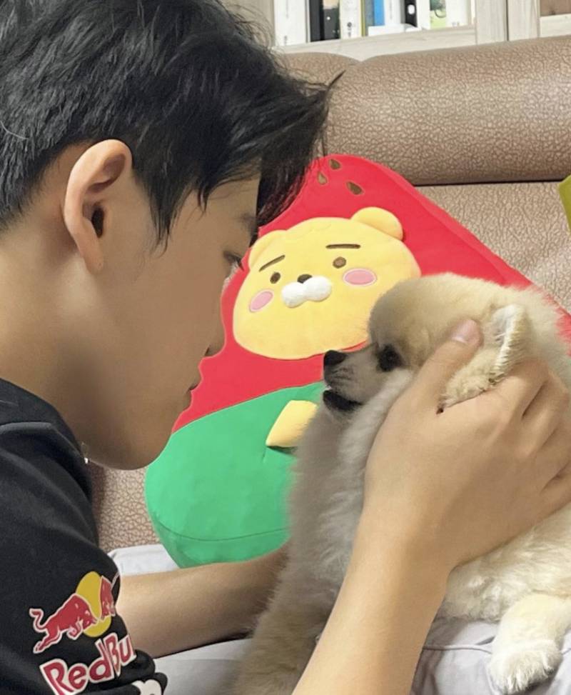 [잡담] 꾸마들도 둥테라피 좀 하자 | 인스티즈