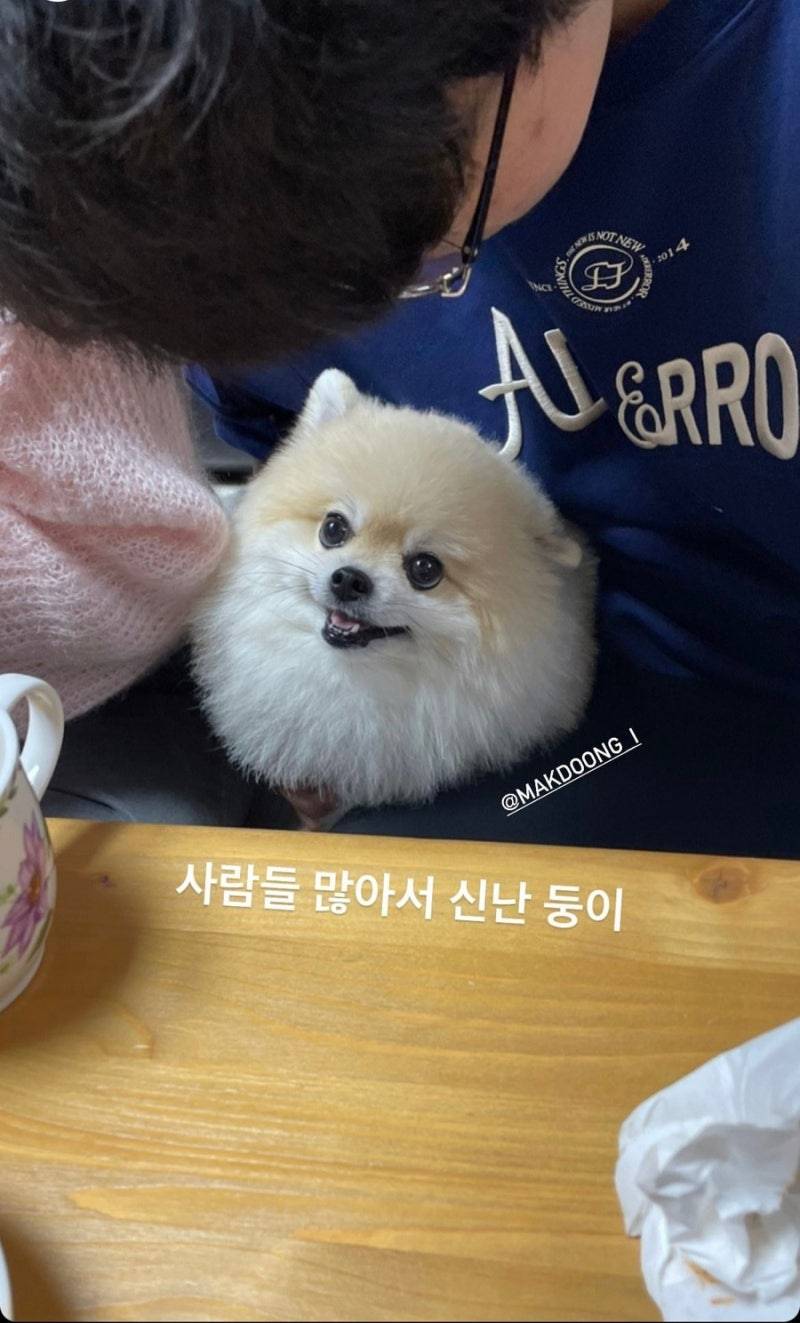 [잡담] 꾸마들도 둥테라피 좀 하자 | 인스티즈