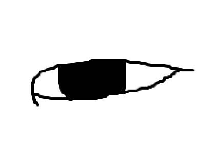 [잡담] 쌍수 꼭 해야하는 눈.jpg | 인스티즈