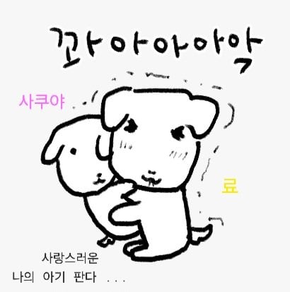 [잡담] 위시 관계성 캐해 봐 ㅋㅋㅋㅋㅋㅋ | 인스티즈
