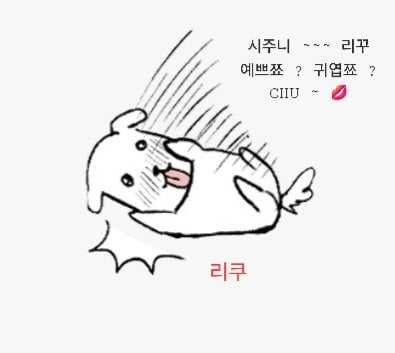 [잡담] 위시 관계성 캐해 봐 ㅋㅋㅋㅋㅋㅋ | 인스티즈