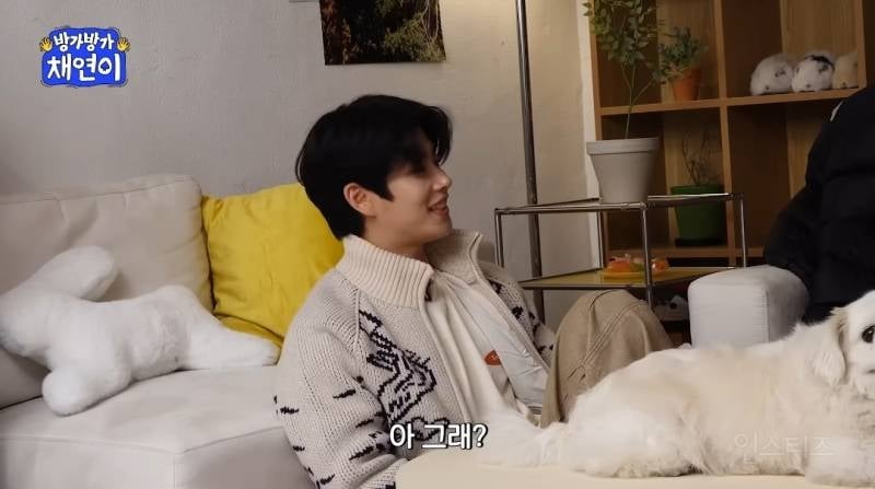 술찌인거 숨기다 걸린 아스트로 멤버.jpg | 인스티즈