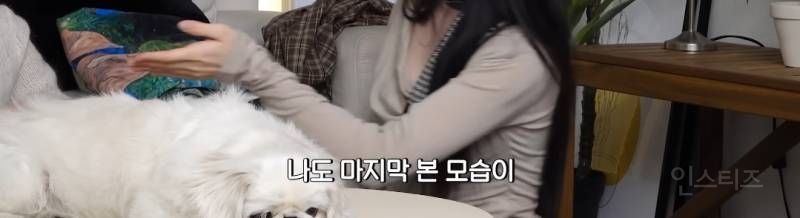 술찌인거 숨기다 걸린 아스트로 멤버.jpg | 인스티즈