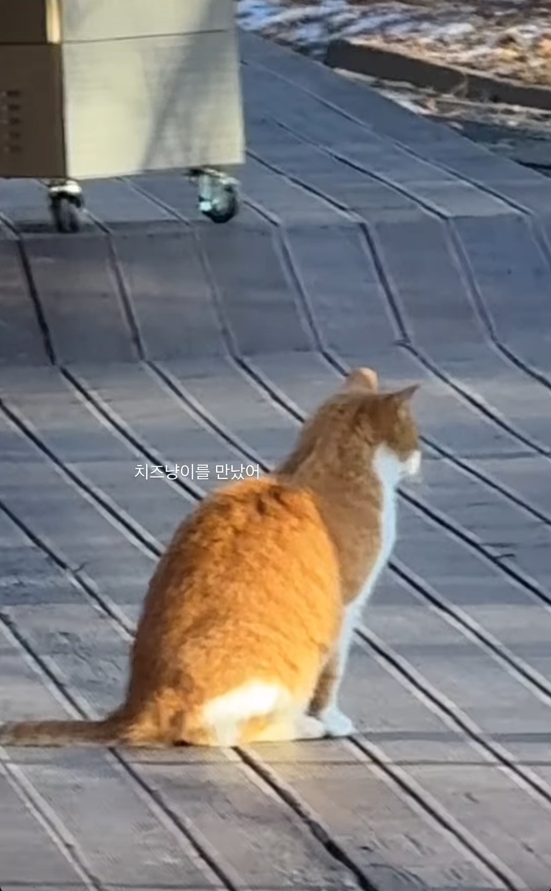 [잡담] 뉴진스 NJZ 인스스 이거 누구야? | 인스티즈