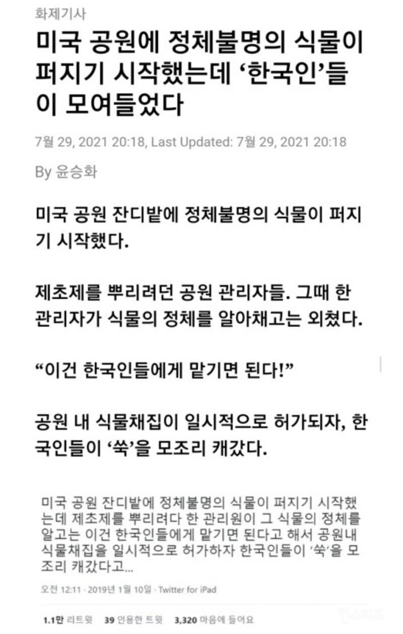 미국 : 공원에 한국인을 풀어라 | 인스티즈