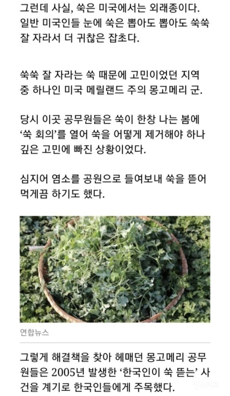 미국 : 공원에 한국인을 풀어라 | 인스티즈