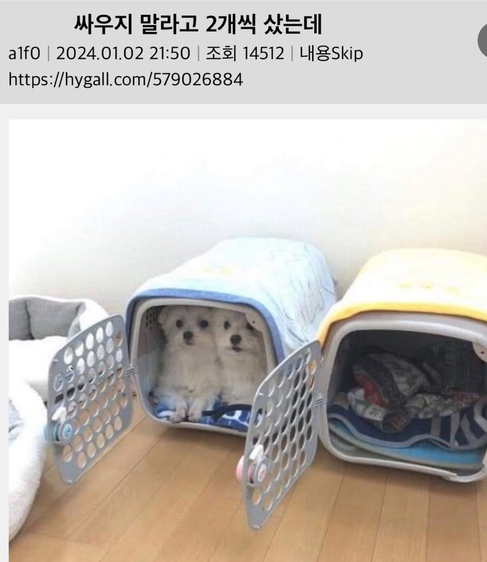 [잡담] 아니 ㅋㅋㅋ누가 얘네 정우랑 해찬이래 | 인스티즈