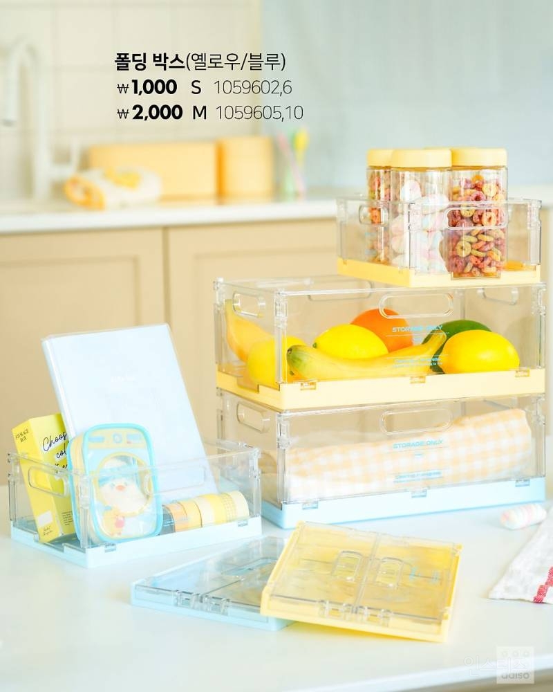 💛2025 다이소 봄 집단장 병아리 시리즈🐣 | 인스티즈