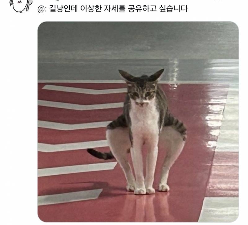 트위터 웃긴 짤 모음 | 인스티즈