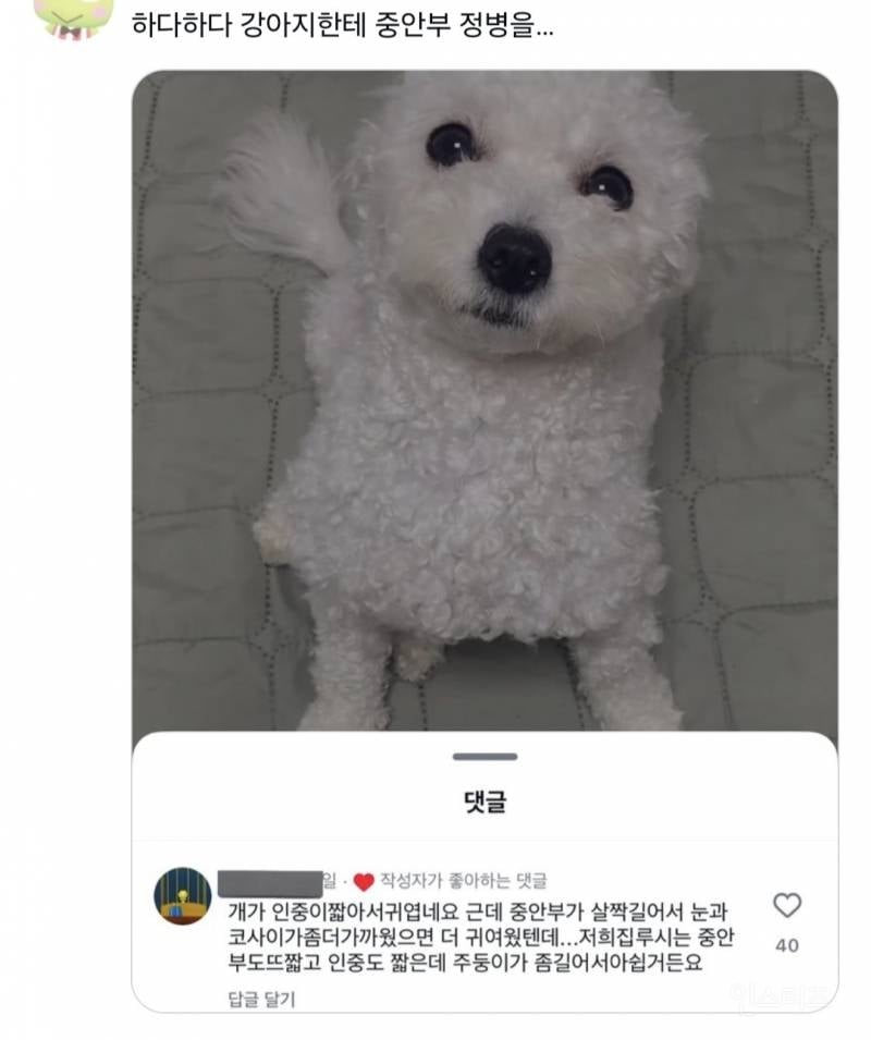 트위터 웃긴 짤 모음 | 인스티즈