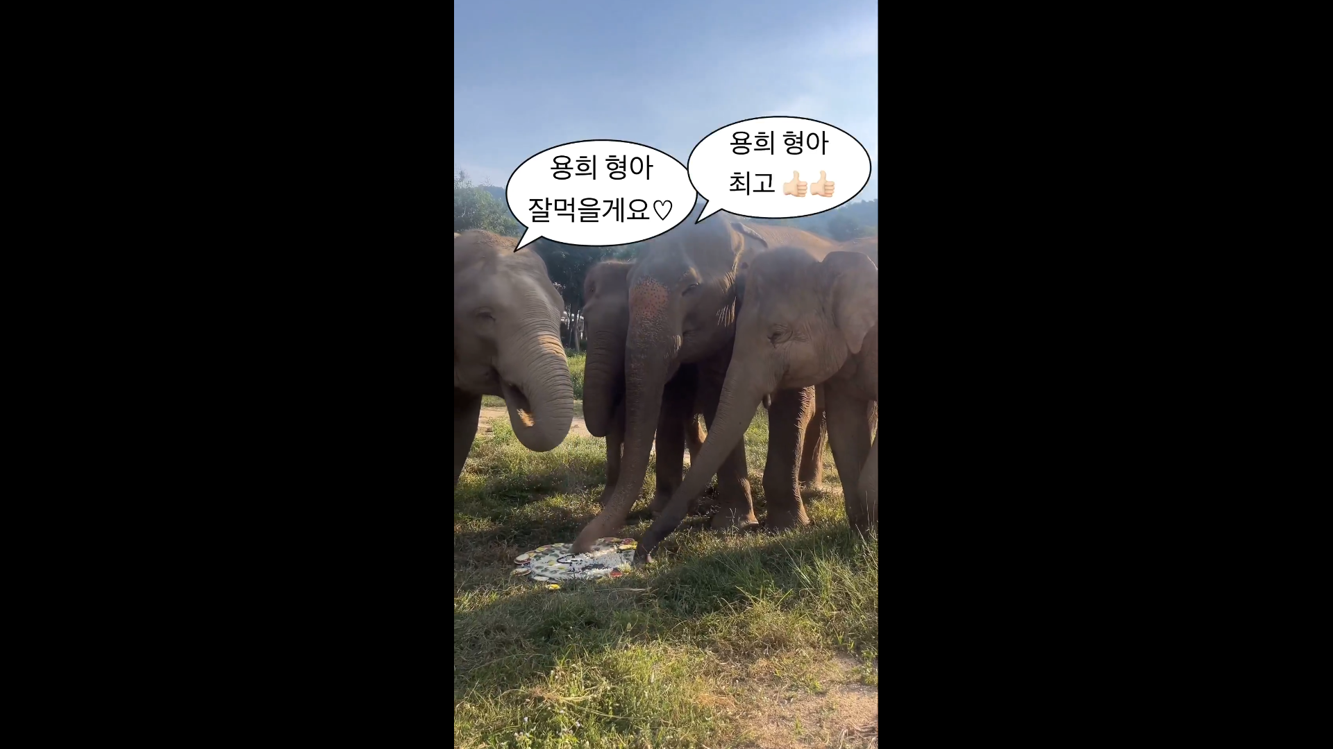 [잡담] ㄹㅇ 편견없는 내돌 | 인스티즈