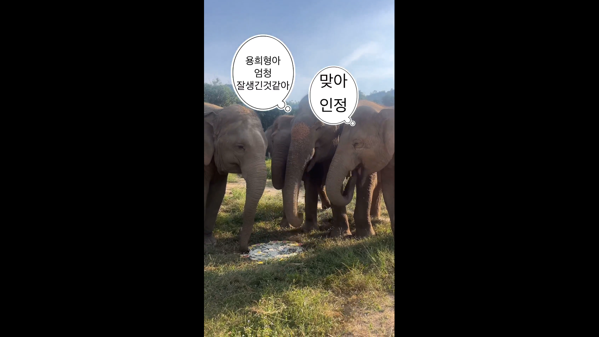 [잡담] ㄹㅇ 편견없는 내돌 | 인스티즈