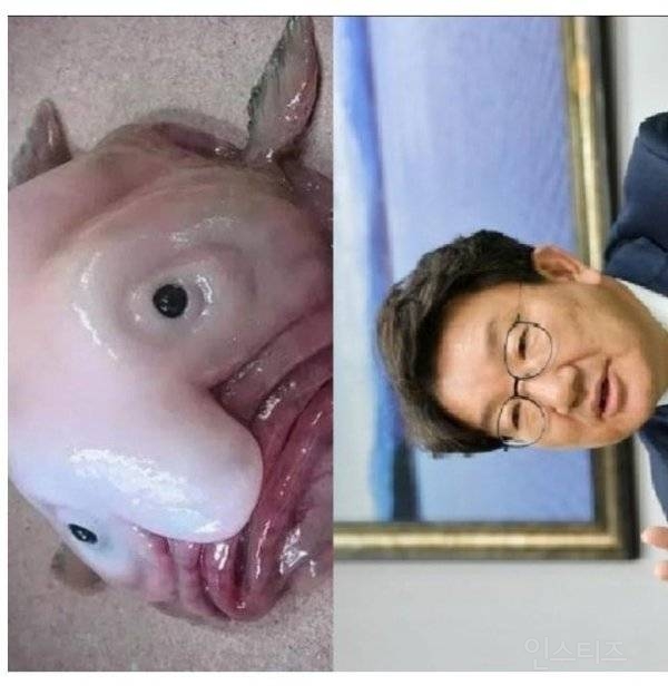 권성동, 나경원 보내버리는 문제 1개 | 인스티즈