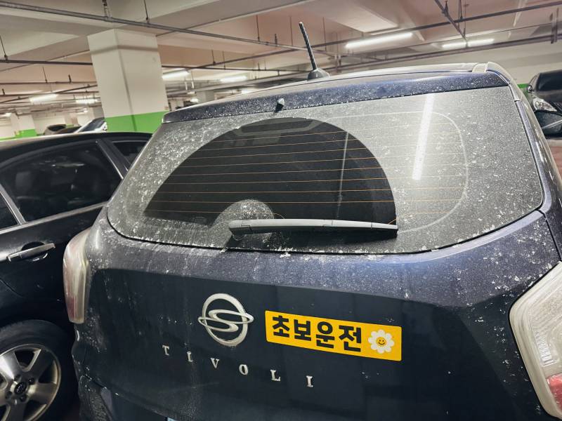 [잡담] 지상에 주차했는데 자동차 이거 뭘까..? | 인스티즈