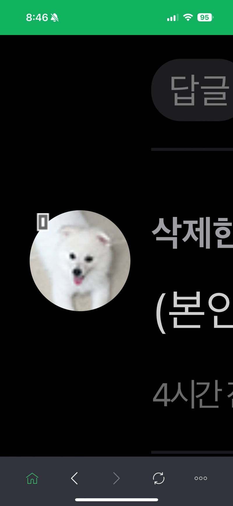 [잡담] 삭제된 댓글에 원래 이 하얀 강아지 떴어?? | 인스티즈