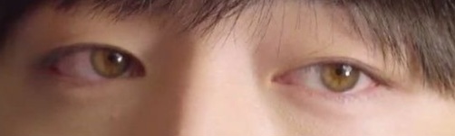 [잡담] 남자 연예인 검은색 눈 vs 갈색 눈 | 인스티즈