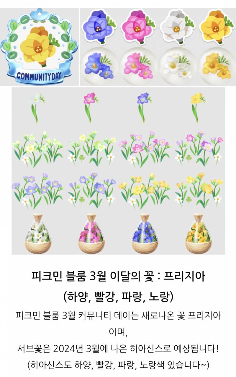 [잡담] 2025년 3월 서브꽃 히아신스 4종 예상❗️ | 인스티즈