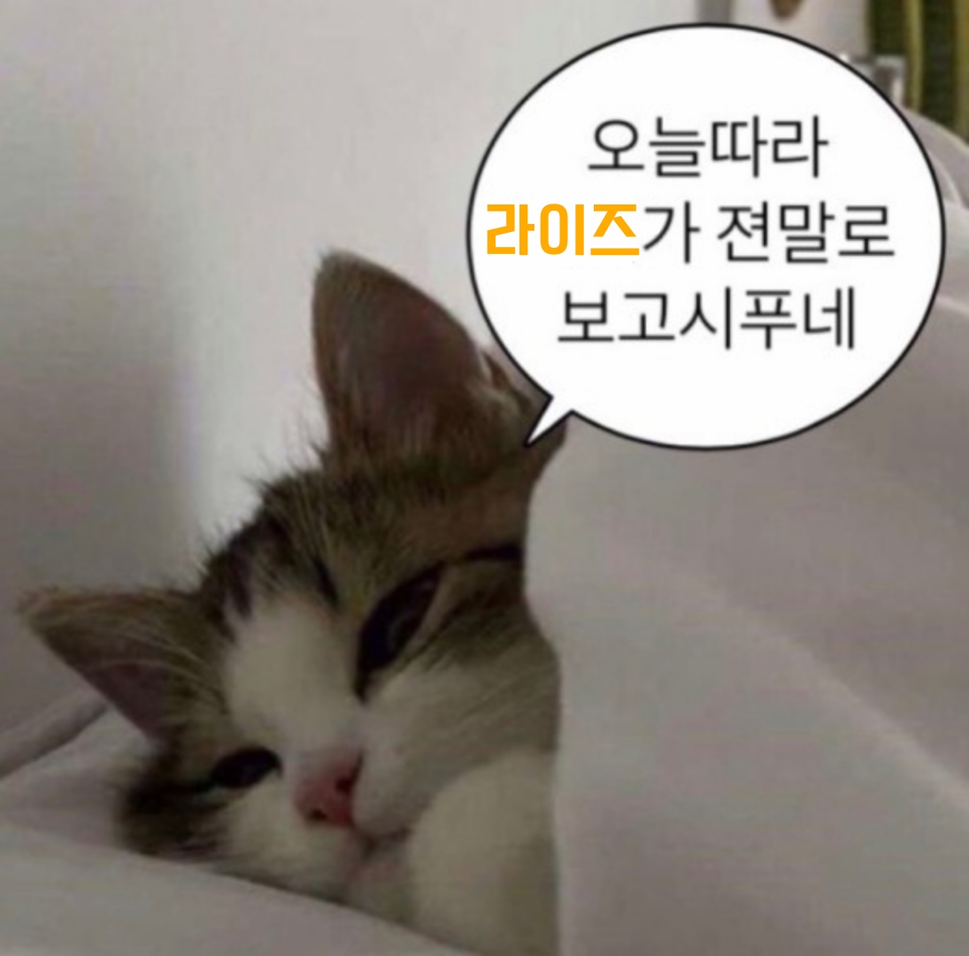 [잡담] 나 덕질도 처음이고 공백기도 처음ㅋㅋㅋ내 기분상태 | 인스티즈