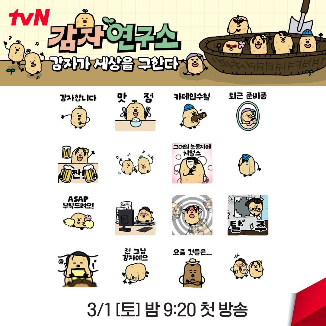 [잡담] 티비엔 감자연구소에 사활걸었나봐 | 인스티즈