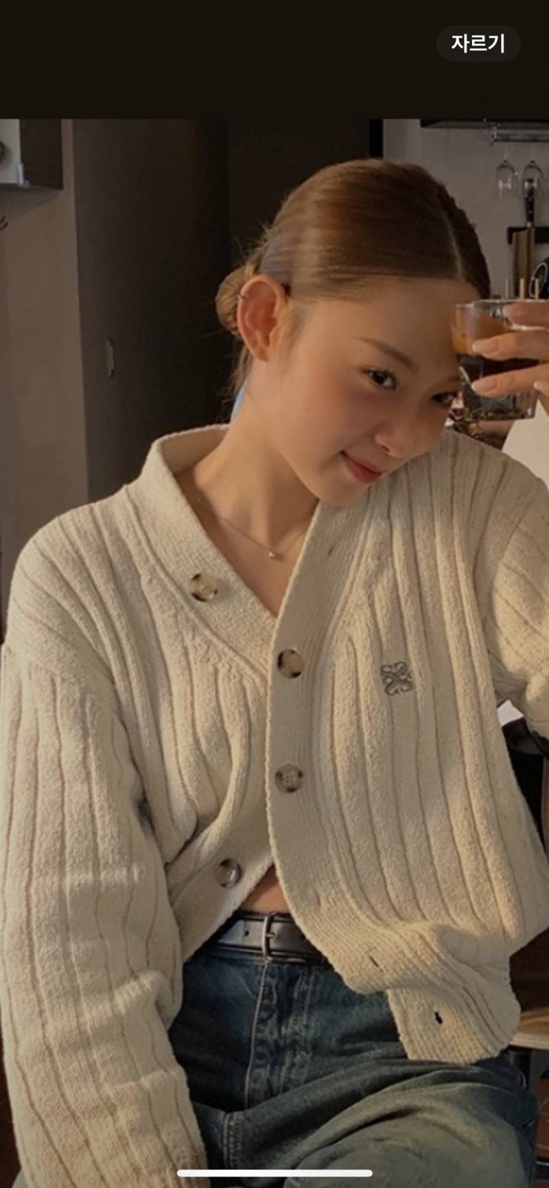 [잡담] 이런 가디건 뜨고 싶은데 비슷한 도안 파는곳 있으까? | 인스티즈