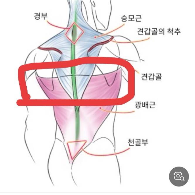 [잡담] 기지개 펴다가 뚜둑 했는데 디스크 터진 건가? | 인스티즈