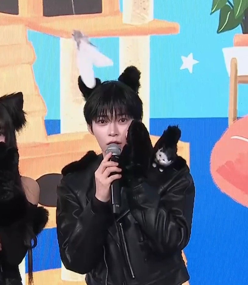 [잡담] 성한빈 진짜 고양이가 됐어 | 인스티즈