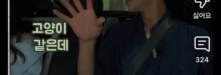 [잡담] 남자들이 여우상 여자 좋아하는 이유 알려줌 | 인스티즈